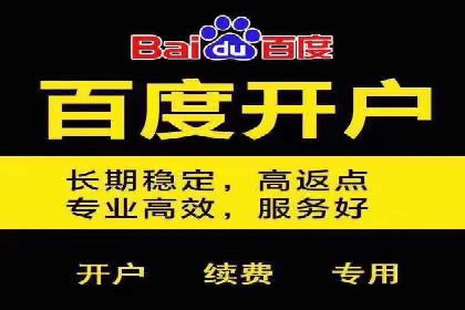 某科技公司SEM策略调整，实现业务快速增长